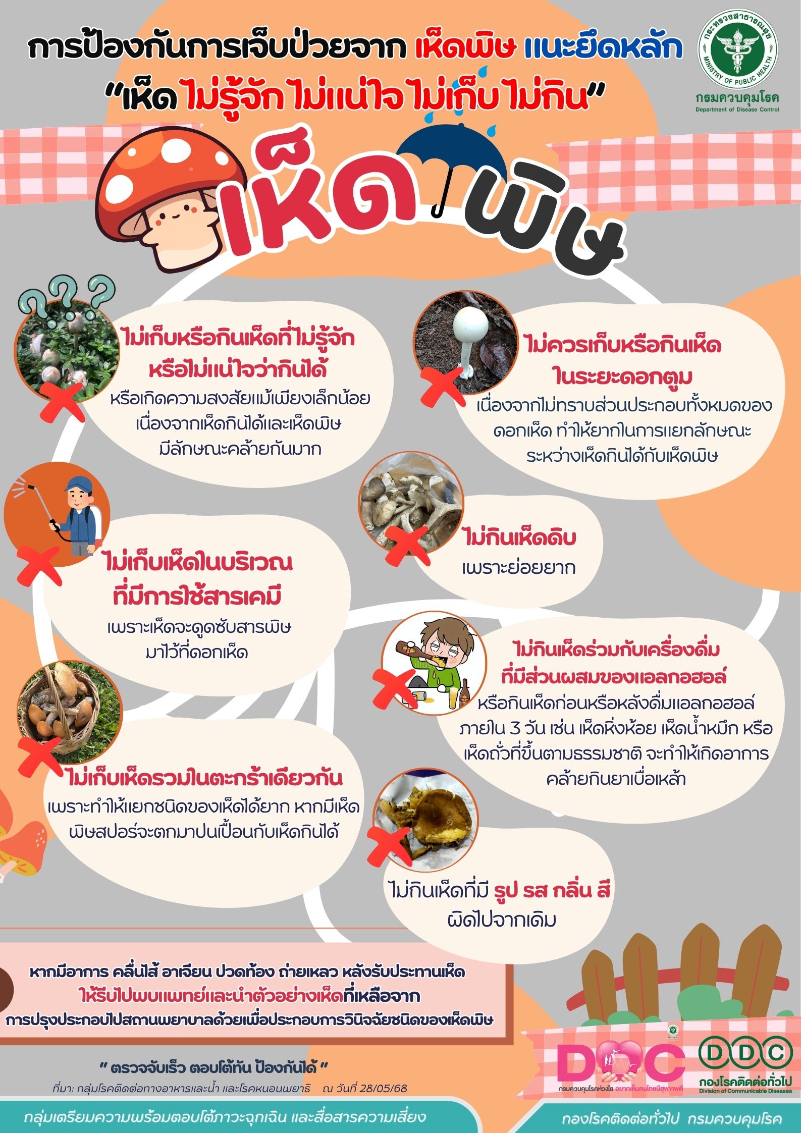 การป้องกันการเจ็บป่วยจาก เห็ดพิษ แนะยึดหลัก “เห็ด ไม่รู้จัก ไม่แน่ใจ ไม่เก็บ ไม่กิน”